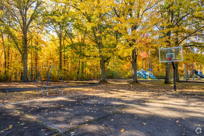 Youngstown’s Bailey Park has many activities under mature shade trees along with grassy fields.