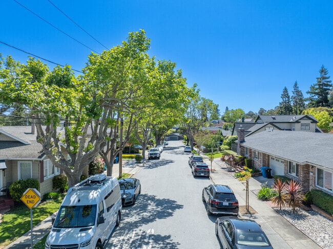 Tree-lined streets with paved walks create picturesque scenes in Burlingame Terrace.