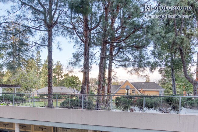 501 Forest Ave unit FL2-ID878, Palo Alto, CA 94301 - photo 6