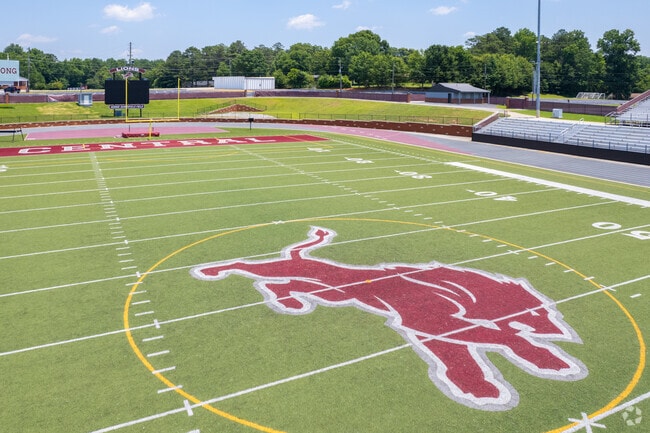 Central High School has Lion pride!