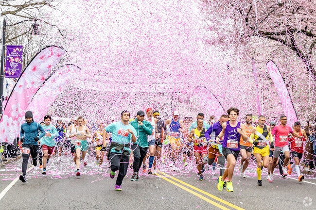 Runners burst through pink confetti as the Cherry Blossom 10K Run kicks off in Branch Brook Park.