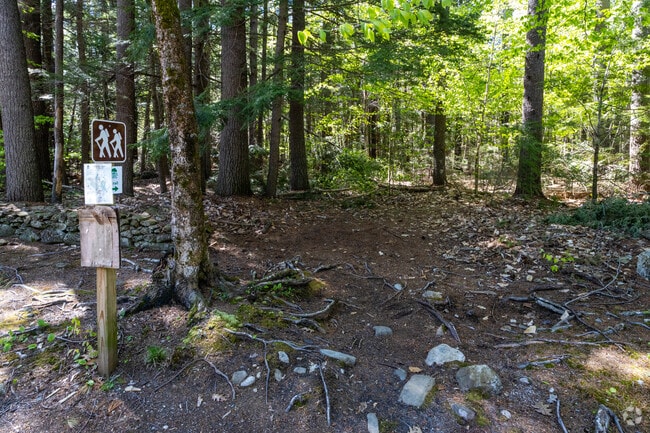 Randall Orchards Trail is great for family hiking.