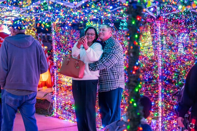 A Tulare couple takes a memorable photo in the lighted tunnel at the Winter Wonderland.