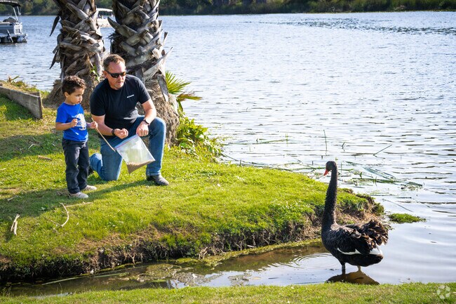 Lake San Marcos is home to exotic birds that share the landscape with residents.