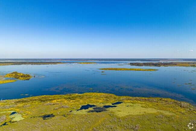 Spend a day exploring the outdoors on Orange Lake in Citra.