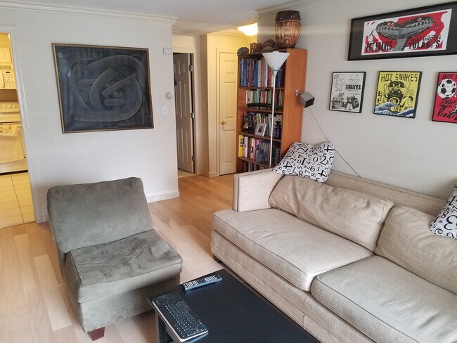 329 Harvard St unit 10, Cambridge, MA 02139 - photo 5