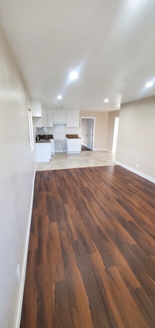Living room and kitchen