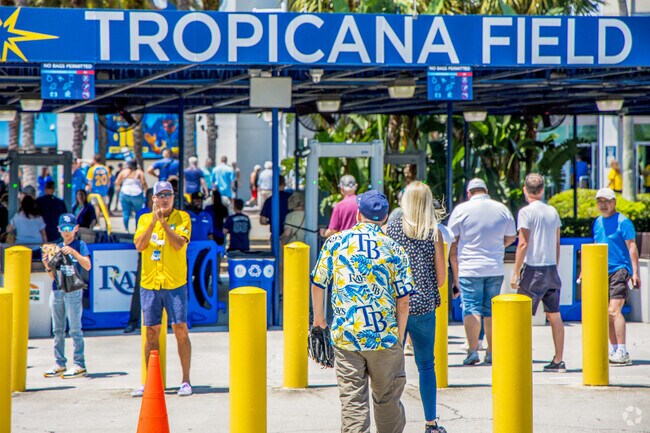 Tropicana Field is only 10 min. from Euclid Heights so take in a baseball game while in season.