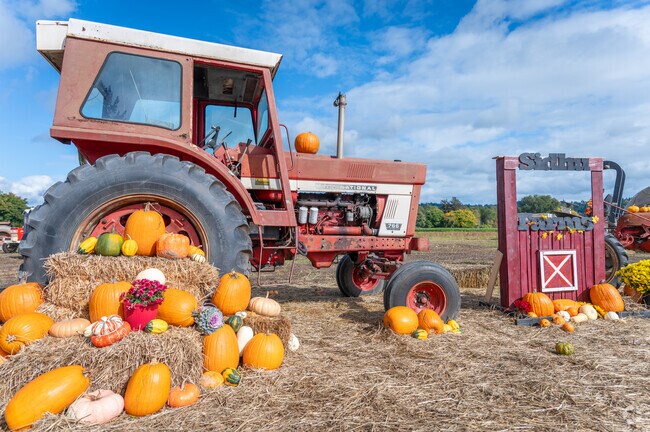 Join in the seasonal adventures at Sidhu Farms in Alderton