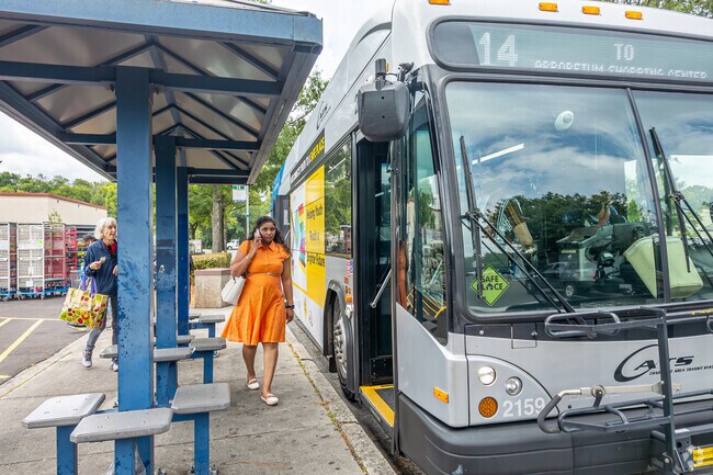 Locals can catch the CATS Bus from Hembstead to Uptown Charlotte.