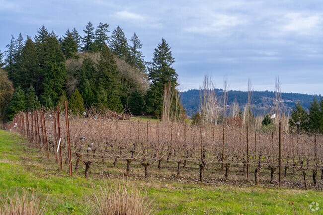 Newberg is known for its notable wine scene, home to more than 100 wineries in a 10 mile radius.