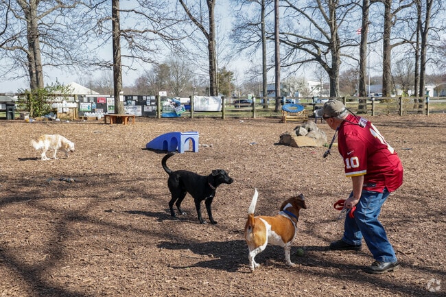 Your furry friend would love a day at the Vint Hill Dog Park near New Baltimore.