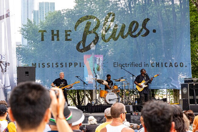 With three stages and over 250 artist, Blues Fest is one of Chicagos best summertime events.