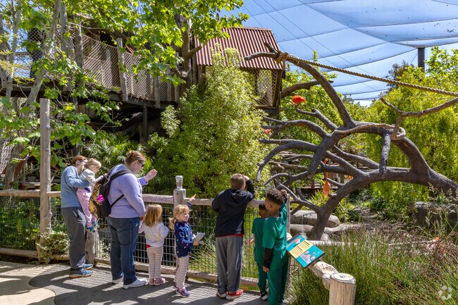 The Palo Alto Junior Museum and Zoo lets kids get up close and personal with animals.