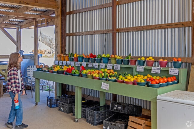 Shop local at Eli's Farm To Market Produce in Forest Creek.