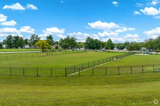 Overlook Park in Pumphrey turned their baseball field into a dog park.