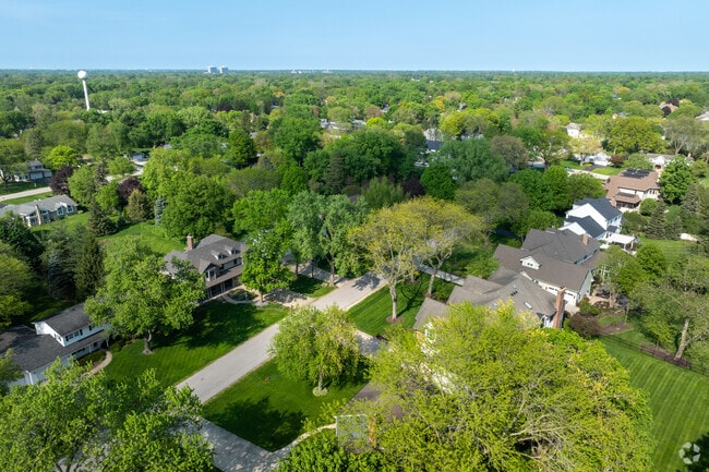 Arrowhead is full of mature trees.