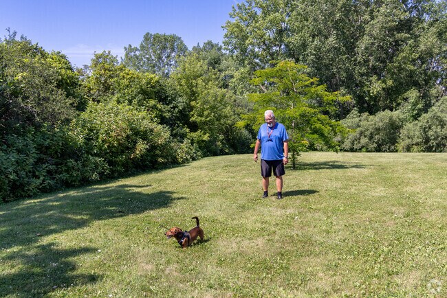 An enclosed area of James Turek Park is a great place to enjoy some time with a dog.