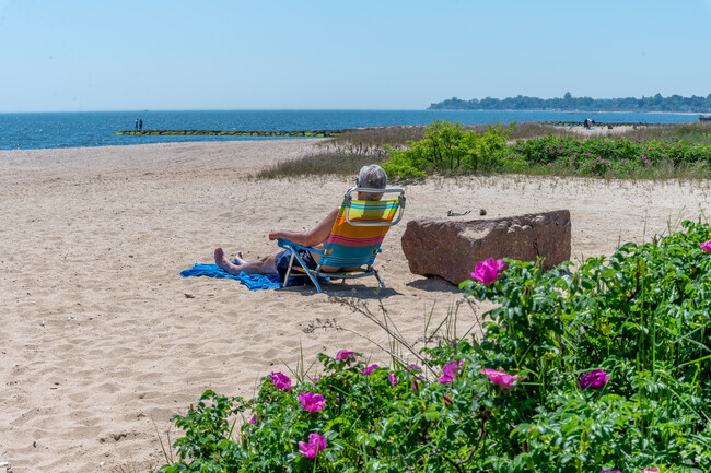 A local enjoys a sunny day at Sandy Point Beach in West Haven Center.