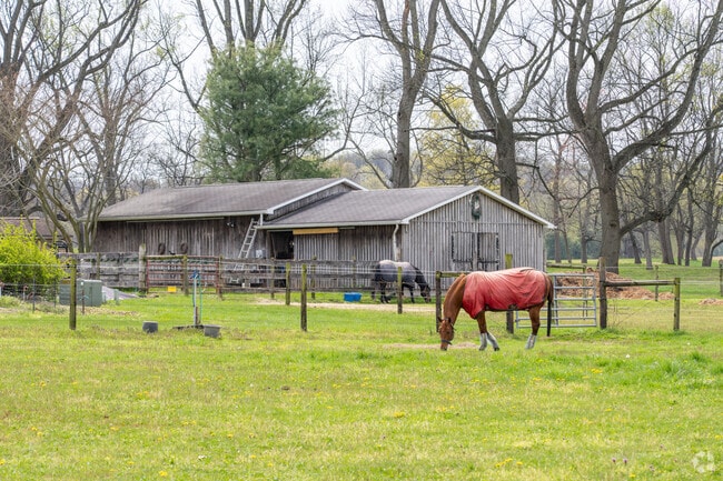 Residents in Boaz, WV, enjoy the charm of living with horses in their backyard.