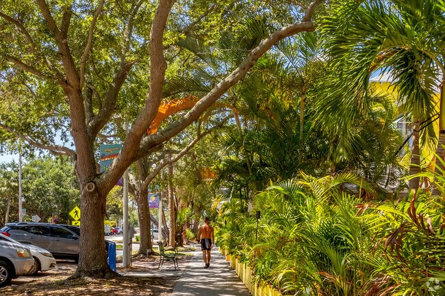 Take a stroll under the beautiful canopy trees covering the sidewalks through out Gulfport Neighborhood.