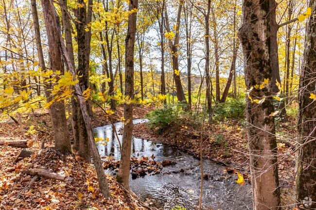 Strong Meadow Preserve trails wind their way over and through East Meadow Brook.
