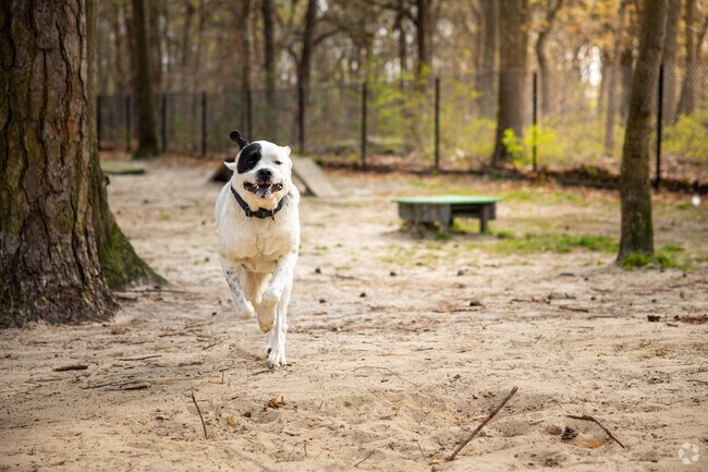 There is plenty of open space for your dog to run and play at Selden Dog Park.