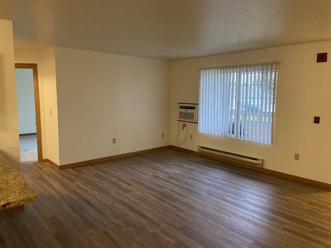 Big Beautiful Living Room