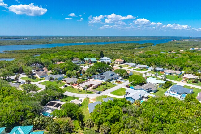 Lush mature trees provide shade and privacy to homes in Ponce Inlet.