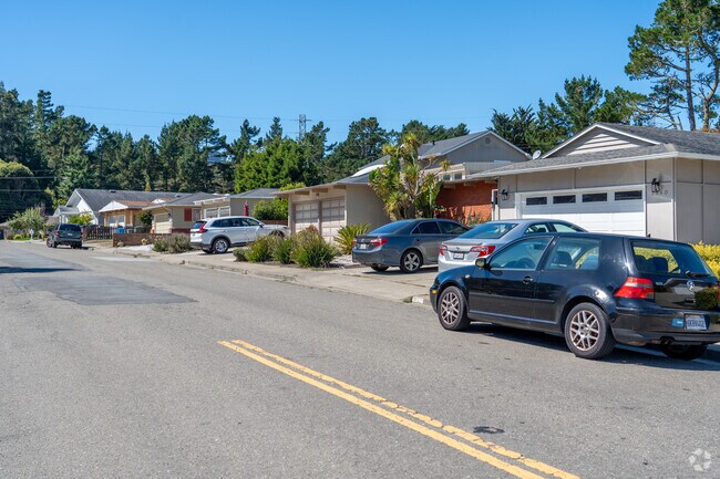 Enjoy Monte Verde’s tranquil streets and mid-century homes nestled among lush greenery.