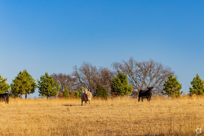 The Maguire Neighborhood has many farms with cows in a vast and picturesque landscape.