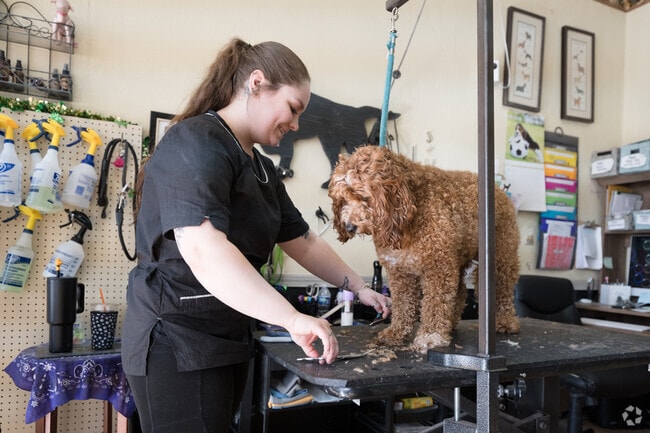 Grab a treat for your dog after a grooming session at Paws & Claws Pet Bakery and grooming.