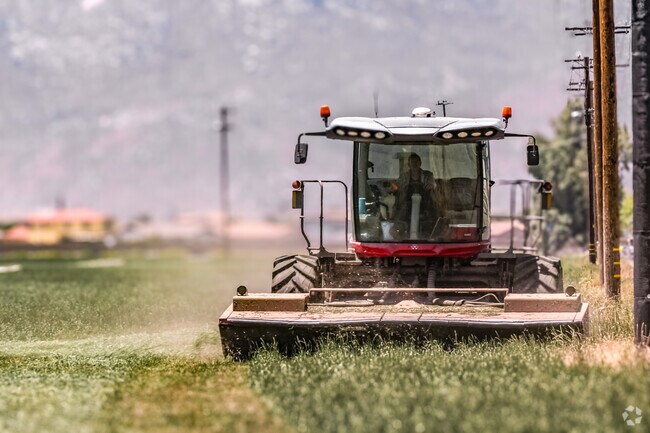 Farmland brings rural charm to the River neighborhood of San Jacinto.