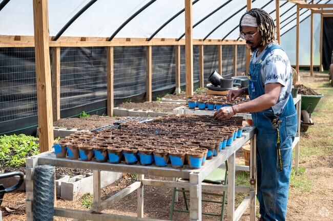 Bush Hills Garden a local non profit helping locals grow their own food in the neighborhood.