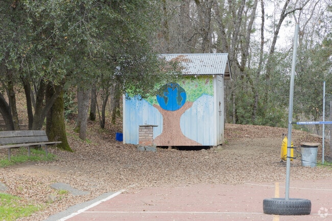 The student - teacher ratio at Cedar Springs Waldorf School is 12 to 1.