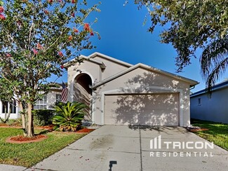 6311 Chapel Pines Blvd, Wesley Chapel, FL 33545