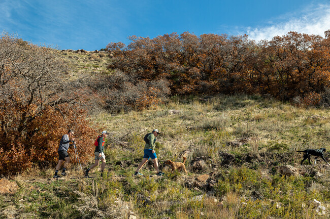 Outlying Salt Lake County is a great place to hike and some trails are dog friendly.