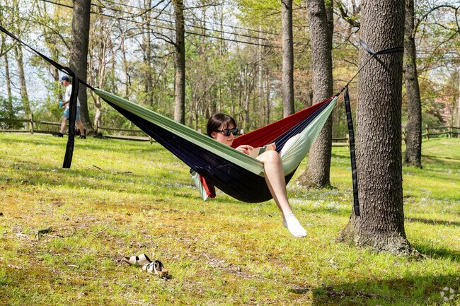 Fred Fuller Park in Kent, Ohio, is a great place to hang out in your hammock.