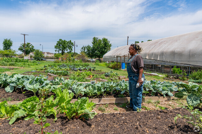 The East Capitol Urban Farm provides Capitol Heights with fresh produce.