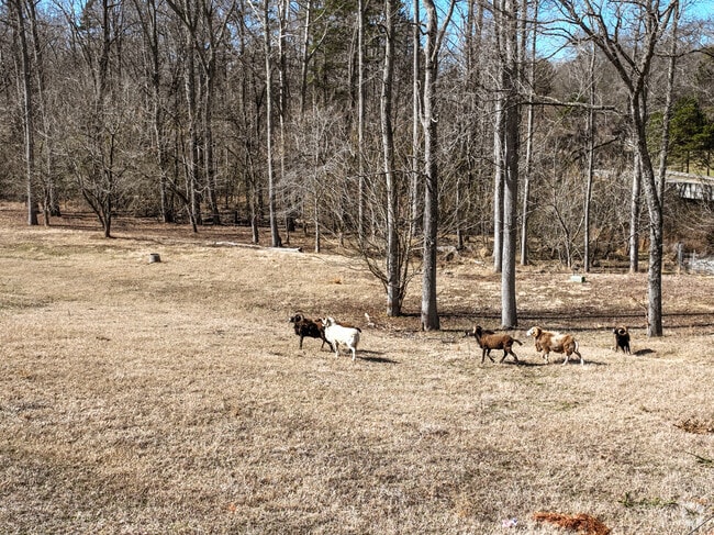 There's plenty of farm land in the Mountain Island area of Gaston County.