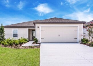 3143 Lowgap Place Unit 36450433, Green Cove Springs, FL 32043