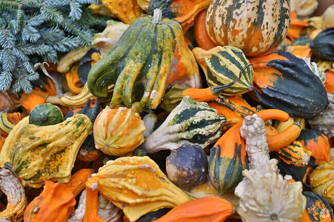 Linda's Produce near Bonny Oaks offers fresh local vegetables.
