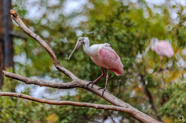 Interstate 110 runs through Scotlandville with pedestrian crossings.