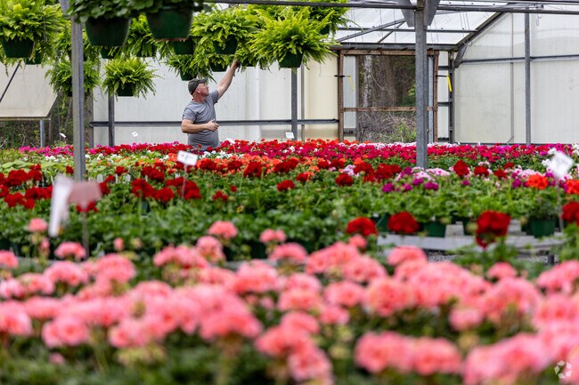 Pick up some new flowers at Indoor Farms Greenhouses in Meadowview.
