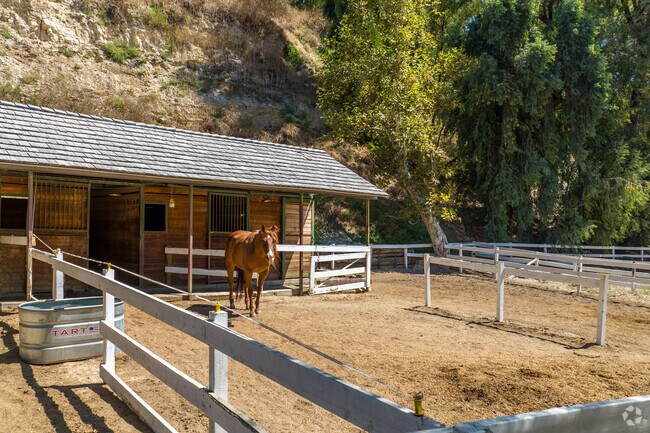 Many homeowners throughout the Hidden Hills community have horses, stables and paddocks.