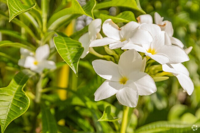 Park Manor combines coastal proximity with budget-friendly living.