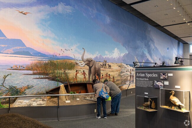 Learn about the long history of Port Arthur at the Museum of the Gulf Coast.