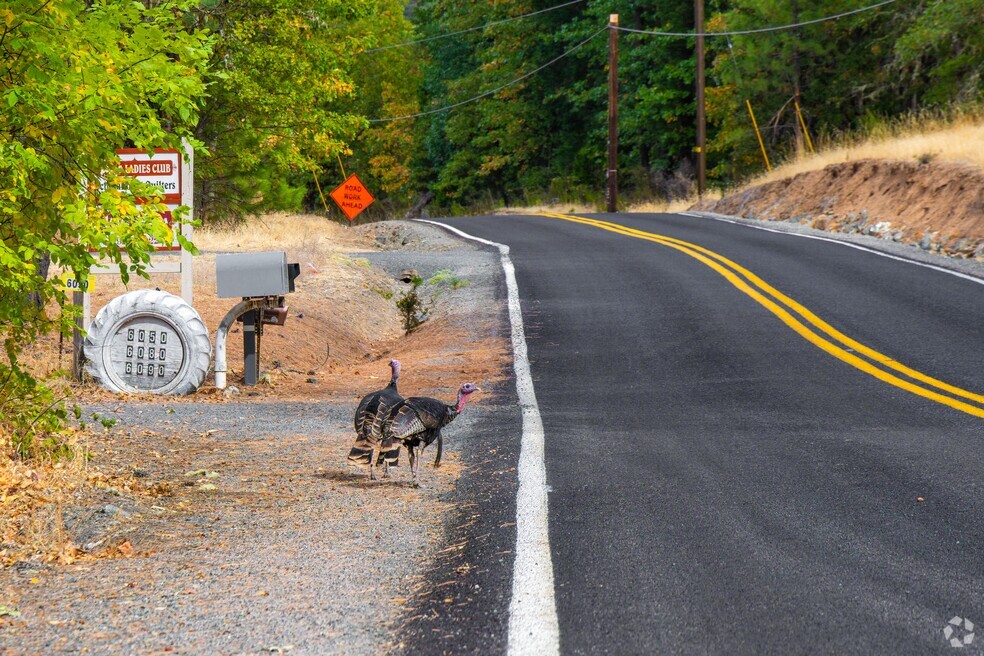 Nh_Hugo_555903_110524_P2_DQ