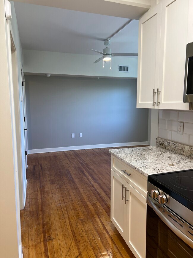 Pulaski Lofts, Pulaski, VA 24301 - photo 4