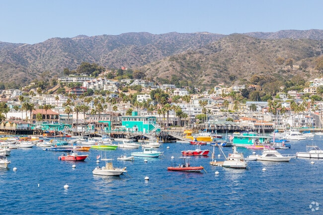 Colorful skiffs and tenders line Avalon’s harbor.